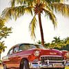 Klassieke auto onder een palmboom in Old Havana, Cuba van Wouter van der Ent