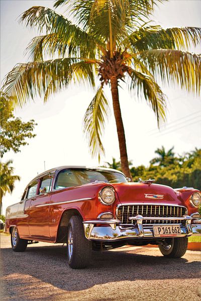 Classic car under a palm tree in Old Havana, Cuba by Wouter van der Ent