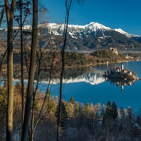 Bled von Narandžić Dean