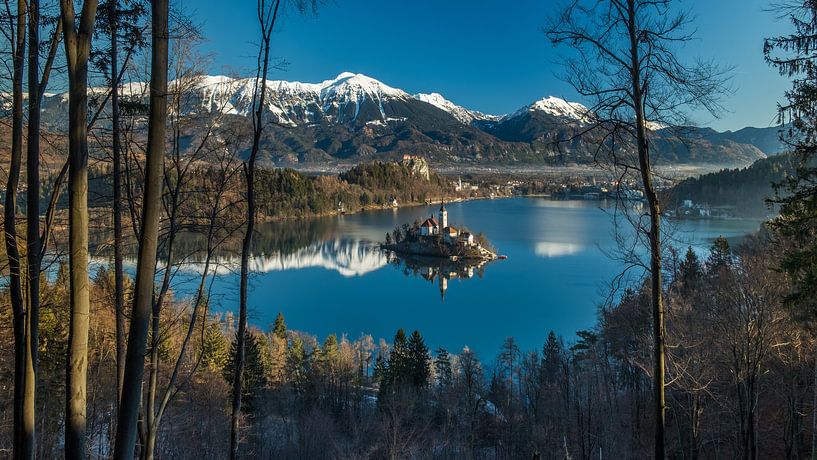 Bled von Narandžić Dean