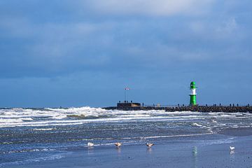 Mole an der Ostseeküste in Warnemünde während des Sturmes Zey von Rico Ködder