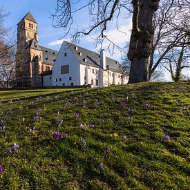 Slotkerk Chemnitz in de lente