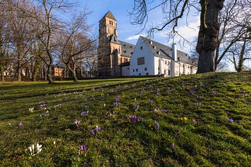 Slotkerk Chemnitz in de lente van Daniela Beyer