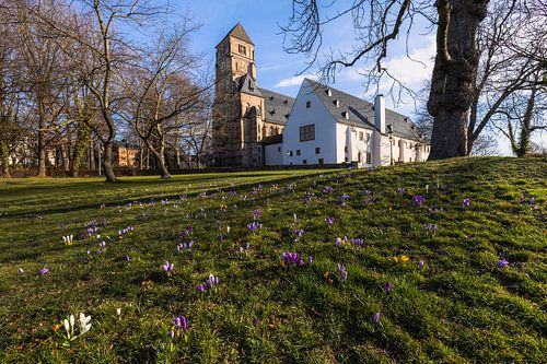 Chemnitz Castle Church in spring