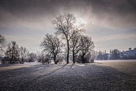 Winterzon breekt door de ochtendmist