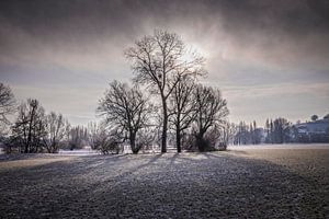 Die Wintersonne bricht durch den Morgennebel