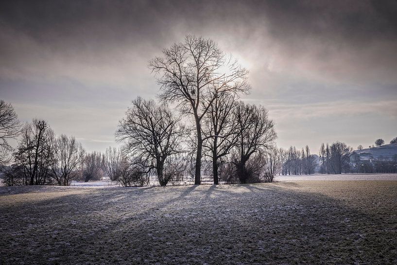Le soleil d'hiver perce la brume matinale par Rob Boon