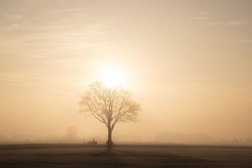 Golden morning light at Hensbroek by peterheinspictures