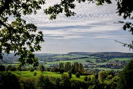 vijlenerbos limburg van Bas Quaedvlieg