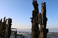 de Waddenzee
