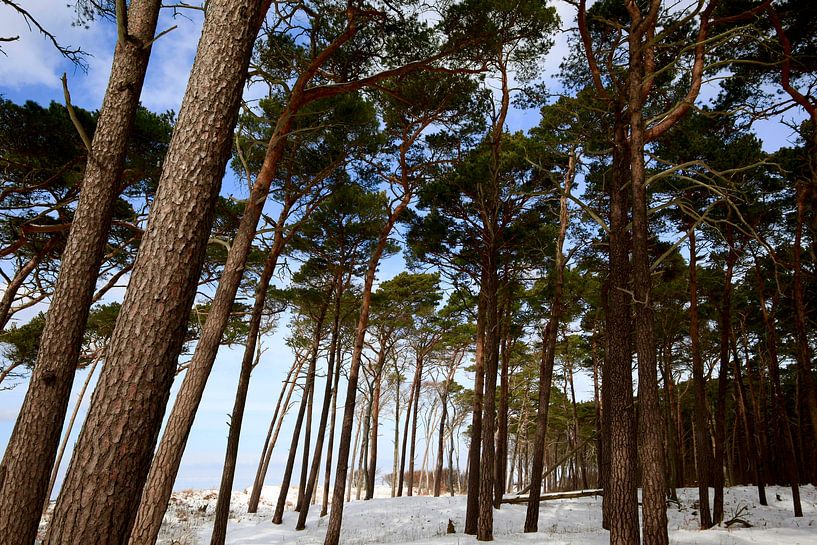Plage ouest de la mer Baltique par Thomas Jäger