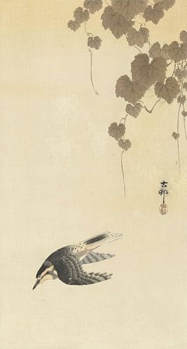 Bird in downward flight from Ohara Koson