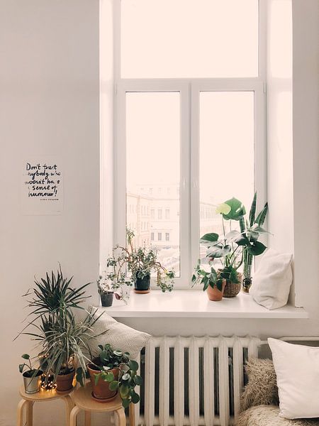 Monstera by Hello Pompoyo