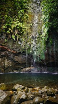 Bossen en Watervallen bij 25 Fontes