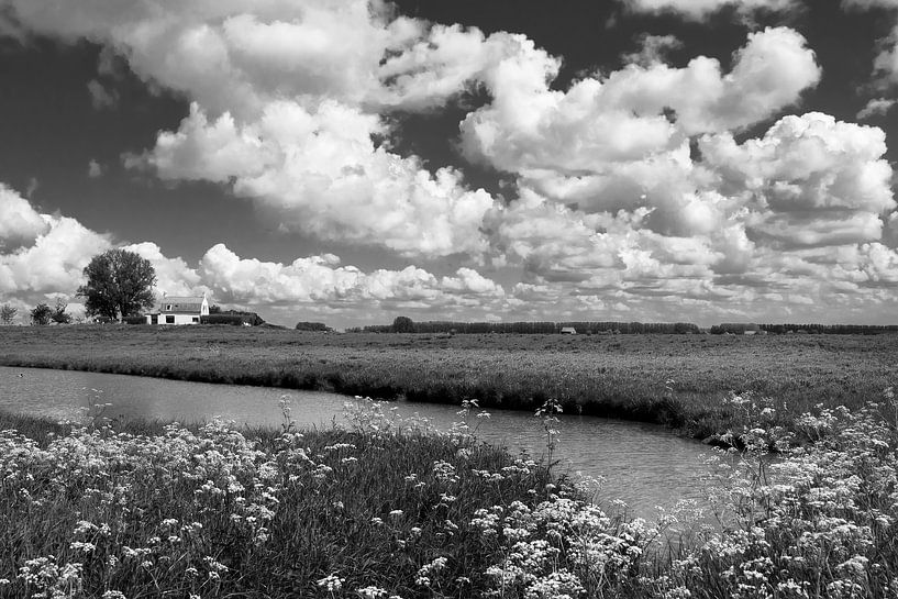 Zeeuwse wolkenlucht van Ellen Driesse