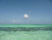 Nuage, Zanzibar