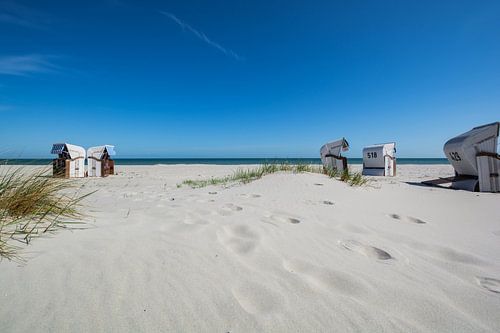 fünf  weiß-braune Strandkörbe am Strand in Prerow