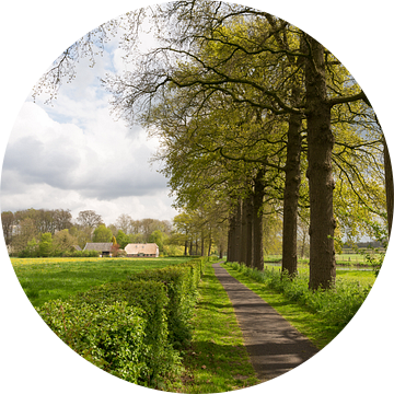 Fietspad Rhijnauwenselaan langs de Kromme Rijn