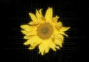 Digitale Phantasie einer wilden Sonnenblume von Ribbi Miniaturansicht