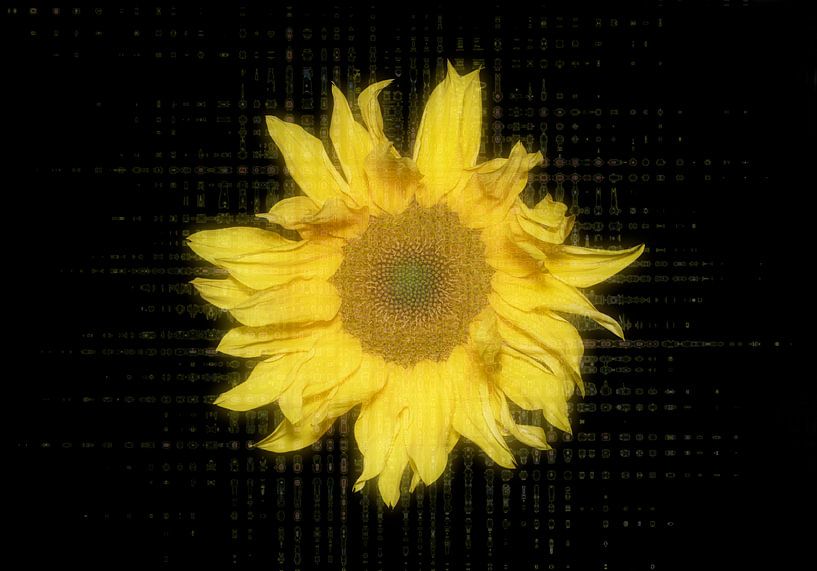 Digitale Phantasie einer wilden Sonnenblume von Ribbi