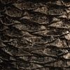 Palmboomschors Textuur Natuurlijke Patronen in Detail van Femke Ketelaar