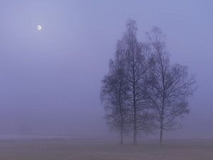 Autumn in the Weiherwiesen  (3)