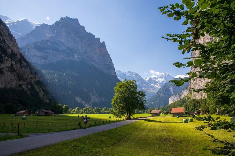 Lauterbrunnen is a small village in the Swiss Jungfrau region. The narrow Lauterbrunnen valley has h by Ton Tolboom