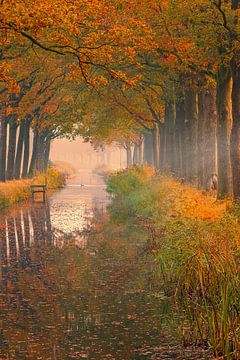 Herfst in Friesland van Henk Meijer Photography