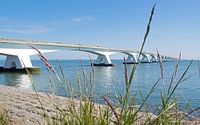 Seawall bridge