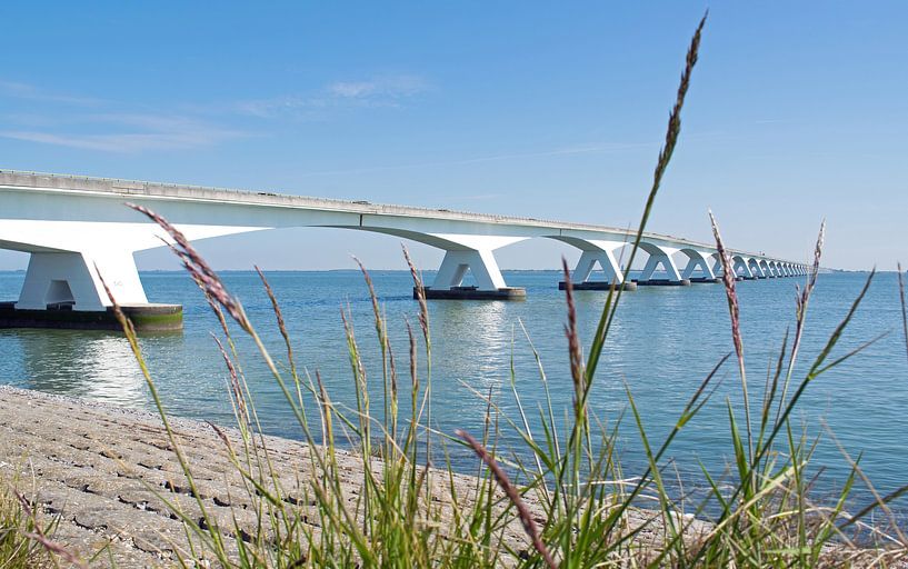 Seawall bridge by Judith Cool
