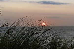 La plage de Texel