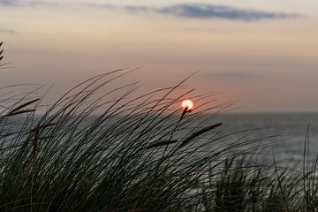 Het strand op Texel van thomaswphotography