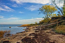 Wildes Küstenland von Holger Felix