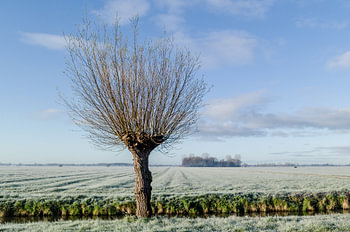 Polder plat et givré