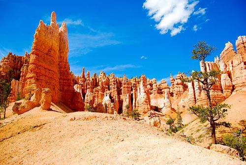 Hoodoos in Bryce Canyon