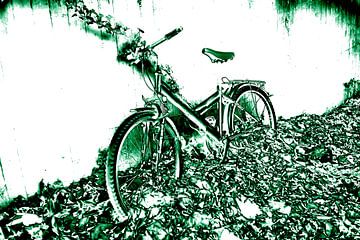 de groene fiets van Norbert Sülzner