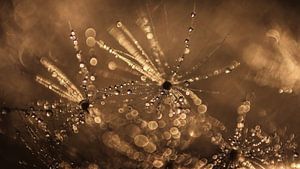 Golden sparkle