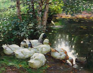 Sechs Enten am Teichufer, ALEXANDER KOESTER, Um 1908