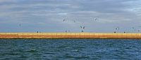 Kite surfers at IJmuiden Harbour