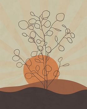 Eucalyptus-boom bij zonsondergang