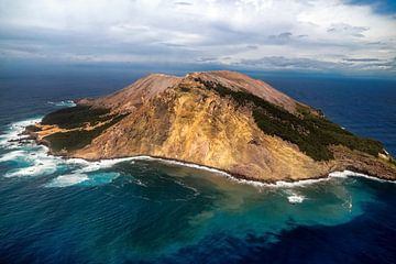 Le white Island sur Chantal CECCHETTI