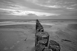 Buhne in Zingst aan de Oostzee, reikt in zee van Martin Köbsch