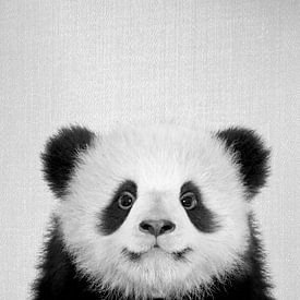 Baby-Pandabär – Schwarz- & -Weiß von Gal Design