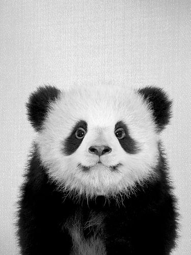 Baby Panda Bear - Black & White