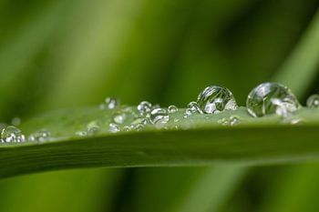 Gouttes d'eau