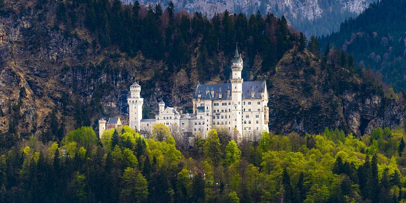 Kasteel Neuschwanstein in de lente van Walter G. Allgöwer