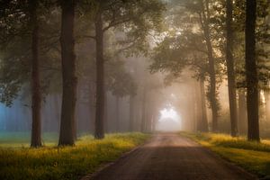 Landgoed Ampsen