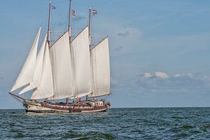 Schönes großes Holzsegelboot auf dem Wasser
