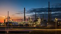 Botlek: Romancing the Industry van Erik Brons thumbnail