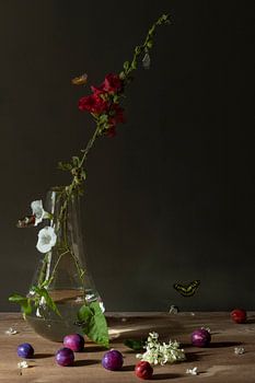 Stilleben 'Stockrose